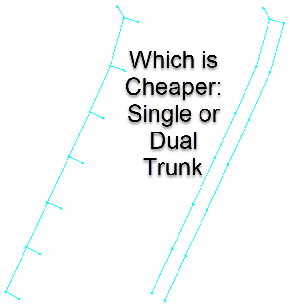 Single vs Dual Trunk